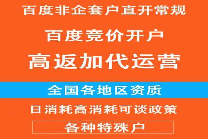 百度竞价与搜索引擎优化（SEO）的协同效应案例